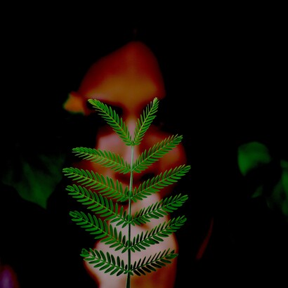 Um mundo baseiado no conceito de autonomia sustentável