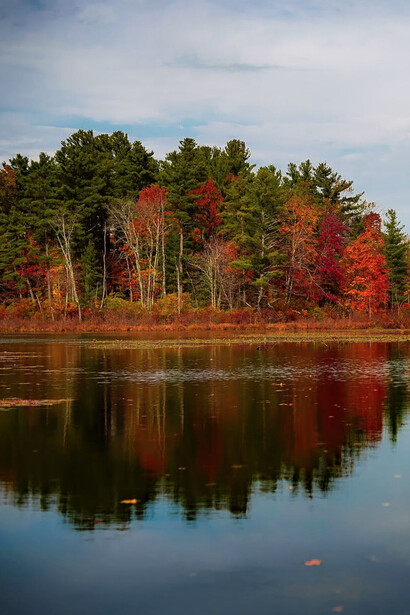 Un lago nel quale si riflettono alberi rivestiti di foglie dai colori tipicamente autunnali 