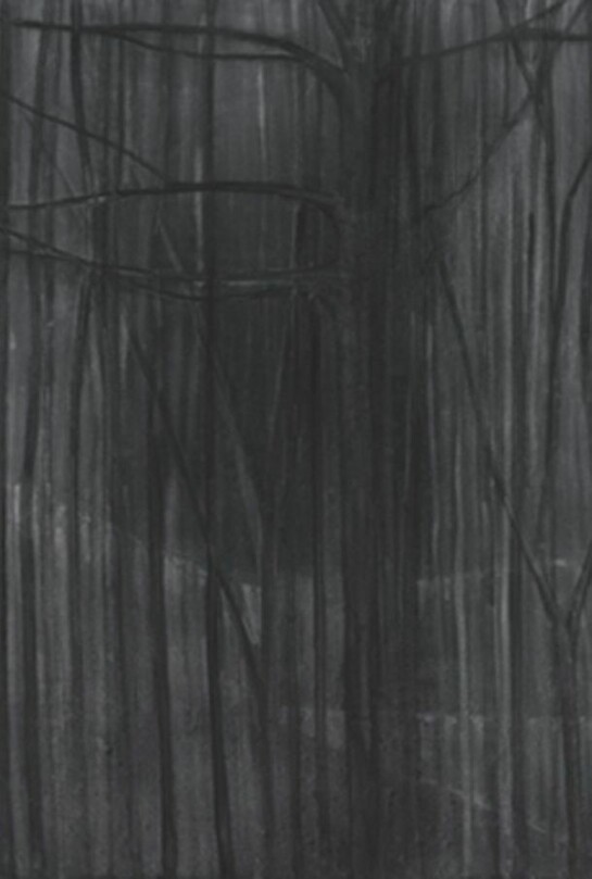 Silke Otto-Knapp, Wintertrees 2012, 100x130cm