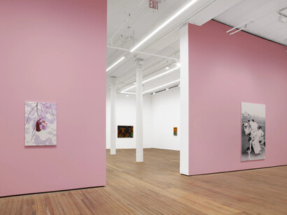 Alex Dordoy, The flowers and the hours, exhibition view. Courtesy of GRIMM