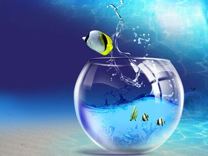 Fuga do meio natural