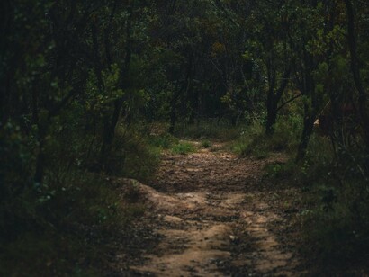 Agora, aos 16 anos, ela ainda nutria sua paixão por viagens. Adorava conhecer lugares novos, se encantava com as mais diversas paisagens e seu maior sonho era fazer uma viagem internacional junto com a família