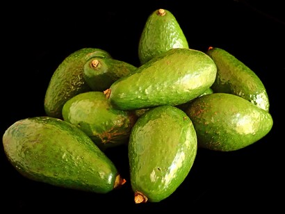 Avocado