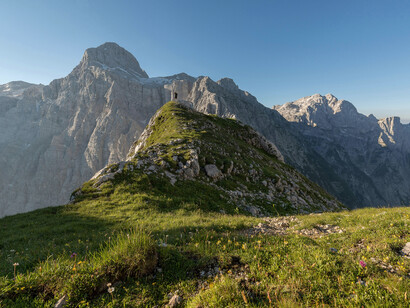 One of the many grassy cliffs of the Alps