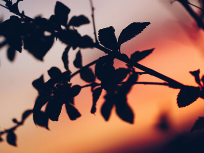 Hoy camino con la certeza de que confiar en Dios, escuchar mi intuición y dar pequeños pasos firmes es la manera más auténtica de avanzar hacia una vida plena y en paz