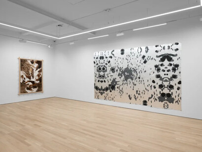 Esteban Ramón Pérez, Smoking mirror, exhibition view. Courtesy of Charles Moffett Gallery