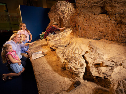 Ancient seas and reef, exhibition view. Courtesy of Queensland Museum Tropics