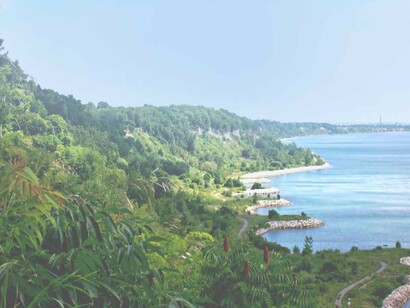 The natural and wonderful greenery at Scarborough Bluffs, Canada makes it the perfect destination to reconnect with nature