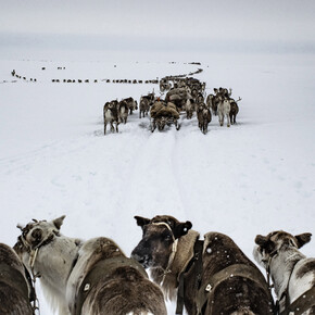 Yamal Peninsula, Russia, April 2018. © Yuri Kozyrev / NOOR for Fondation Carmignac
