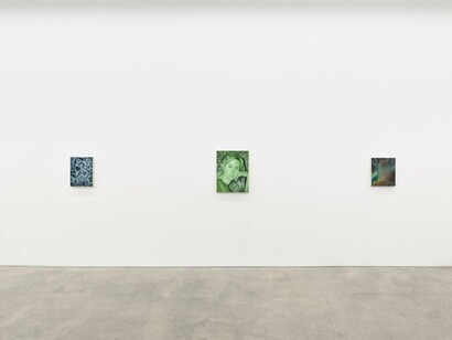 Jenny Morgan, No endings for the wild, exhibition view. Courtesy of Anat Ebgi