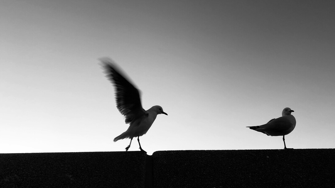 Tiempos de cuarentena