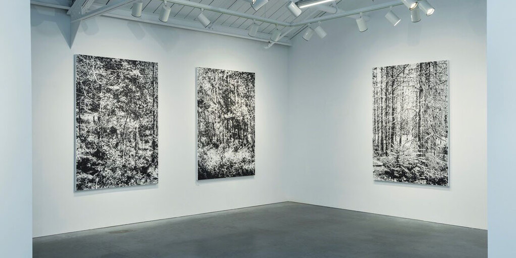 Glass Summers. Courtesy of Eleanor Harwood Gallery