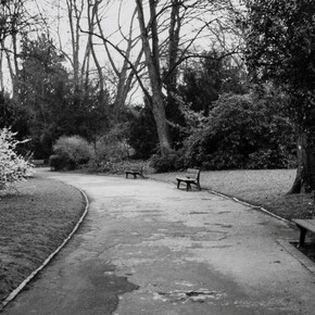 Marcia Hafif. Courtesy of Galerie Hubert Winter