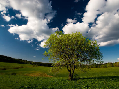 Serenità nella solitudine