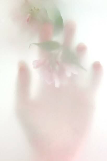 Metamorfose