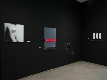 Rosemarie Trockel, November 9 – December 21, 2013, Installation view: Gladstone Gallery, New York. Photo: David Regen. Copyright Rosemarie Trockel. Courtesy Gladstone Gallery, New York and Brussels