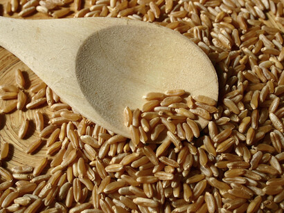 Semi di grano