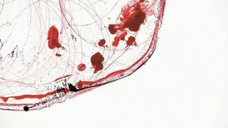 Marcos Lutyens, “Government Resigned and was never never replaced”, Saturday 8.01 pm Egypt, 2013, ink on paper, cm 76 x 56,5, detail