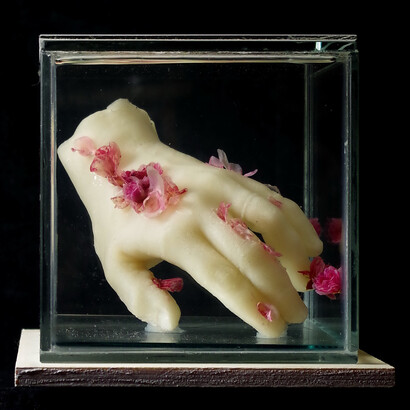 Isabel Consigliere. Physis # 2. III