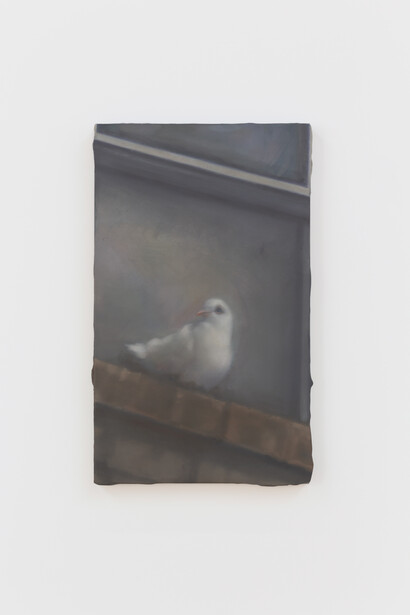 Ella Rose Flood,
Dove that came to live with us this winter. I saw him at my studio throughout
the fall. He is living in the back stairs of our apartment (which are mostly
enclosed), 2024,
Oil on linen,
20 × 12 inches (50.80 × 30.48 cm).
Courtesy of the artist and Simone Subal Gallery, New York