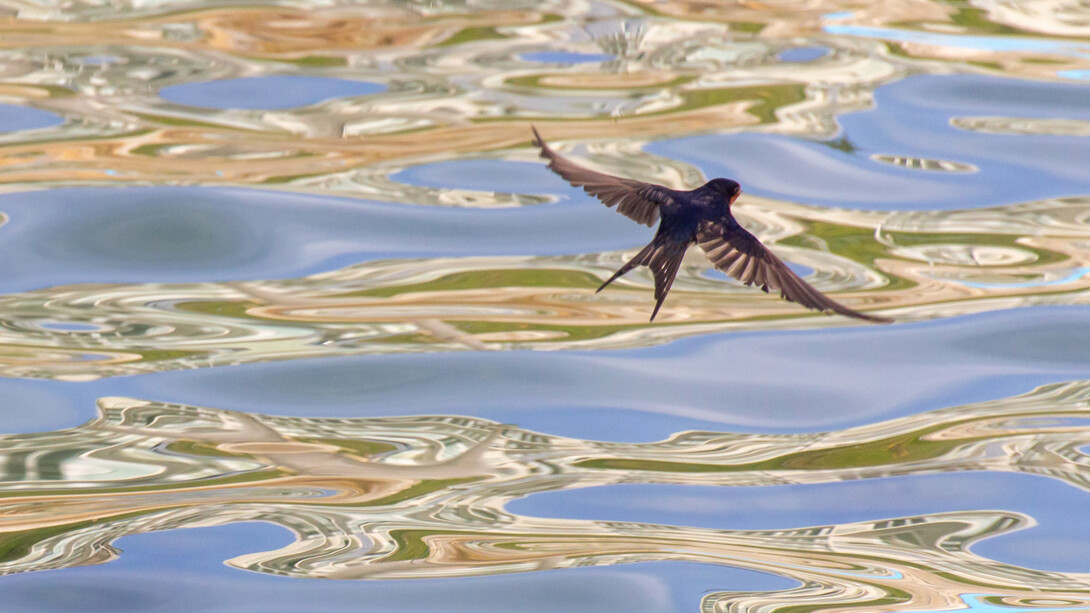 El dinero y los bienes en verdad no son tan valiosos o importantes como «una vida calmada y modesta»