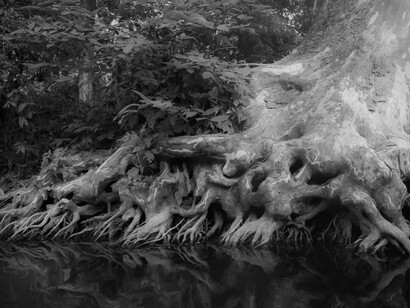Caleb Stein, Down by the Hudson. Courtesy of Palo Gallery 