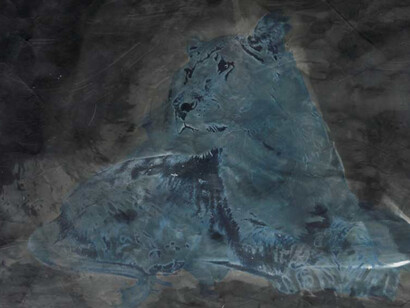 Johannes Brus. Courtesy of Galerie Judith Andreae