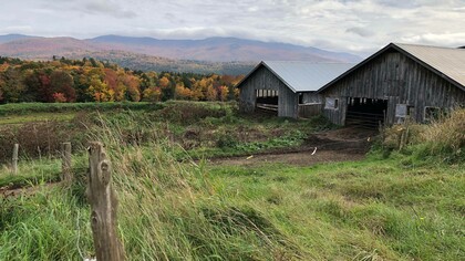 Just a small glimpse into the beautiful Stowe, Vermont landscape. Photo by Jamie Edwards