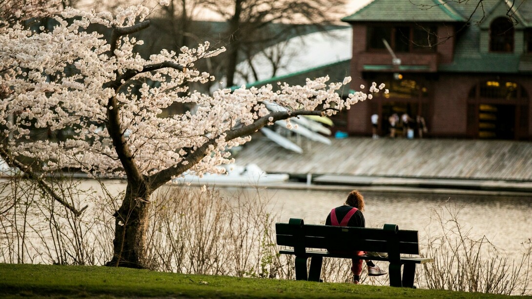 Estudiante en el campus de Harvard. En Estados Unidos, se están intensificando los debates sobre el significado del fascismo y su posible manifestación en la política actual, especialmente desde la presidencia de Donald Trump