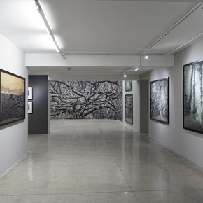 Cássio Vasconcellos, A picturesque voyage through Brazil, exhibition view. Courtesy of Nara Roesler Gallery