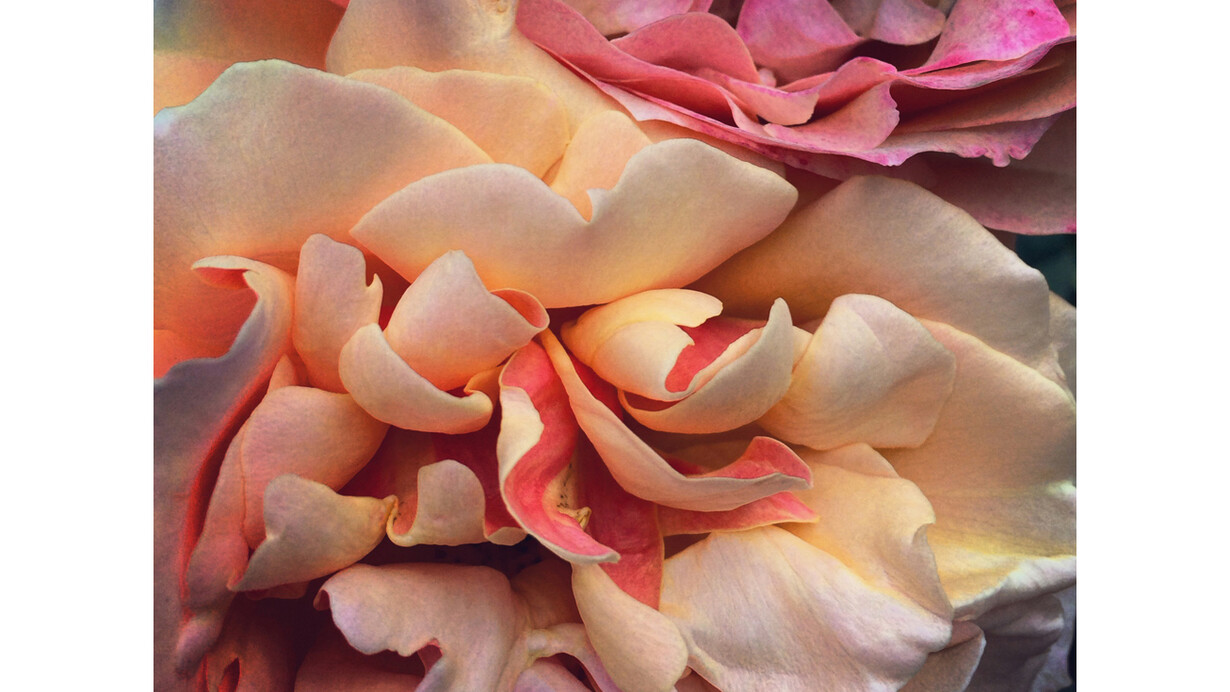 John Arsenault, 1:22 pm, Los Angeles, 2014, Signed, titled, dated, and numbered, verso, Chromogenic print, 30 x 30 inches (Edition of 5), 13.5 x 13.5 inches (Edition of 10)