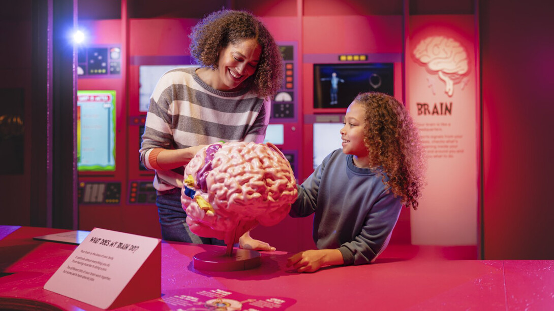 Operation ouch! Brains, bogies and you, exhibition view. Courtesy of Science and Industry Museum