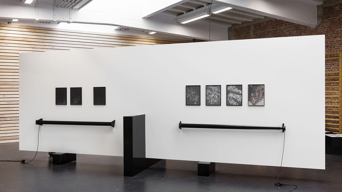 Dries Segers, Fungi, 2019. Installation view at POPPOSTIONS, Brussels, BE.