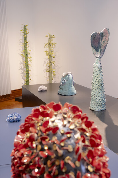 António Vasconcelos Lapa, Extra-nature, vue de l’exposition. Avec l’aimable autorisation du Musée Ariana. Photo par Boris Dunand, Musée Ariana Geneva