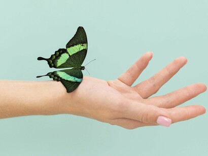 A green butterfly resting on a hand offers a moment of serene beauty, underscoring the persistent, exquisite forms of life that continue to manifest amidst global complexities