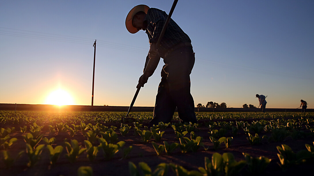 Migrant worker
