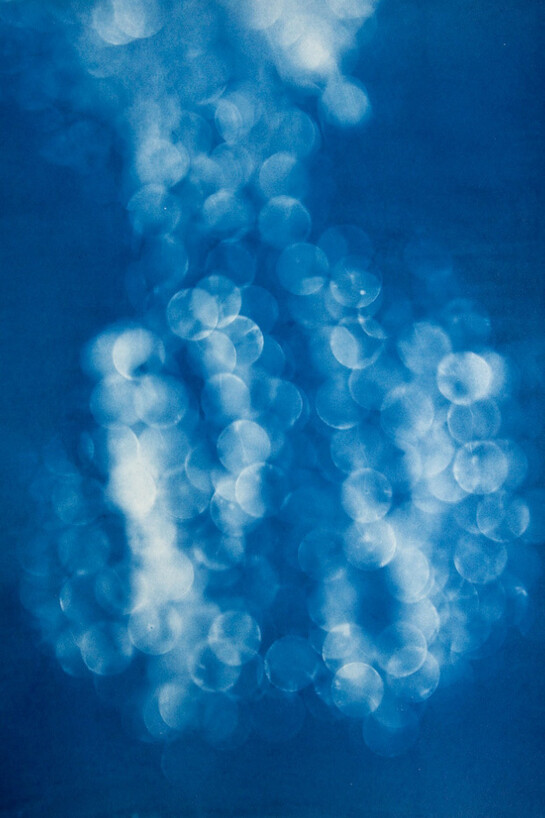 Shadowgraphs. Courtesy of Benrubi Gallery