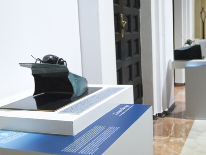 Invertebrados De Andalucía. Courtesy of Casa de la Ciencia