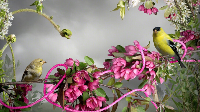 It Doesn't Look The Same Anymore. Courtesy of Pentimenti Gallery