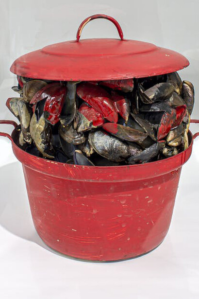 Marcel Broodthaers. Courtesy of M HKA