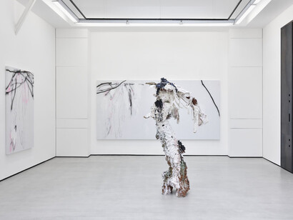 Thibault Hazelzet, Exhibition view. Courtesy of Galerie Christophe Gaillard