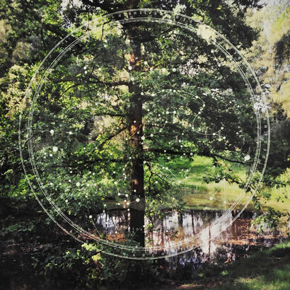 Dianne Bos. Courtesy of AGH 