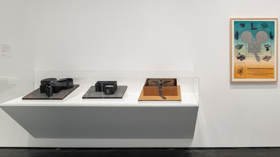 Collection Close-Up. Courtesy of Menil