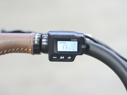 Should we all quit motorized vehicles and start biking to school and work to get our pedaling muscles in shape?