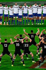 Rugby. La coupe du monde 2023 se déroulera en France, c'est un des événements sportifs les plus prestigieux et les plus attendus au monde
