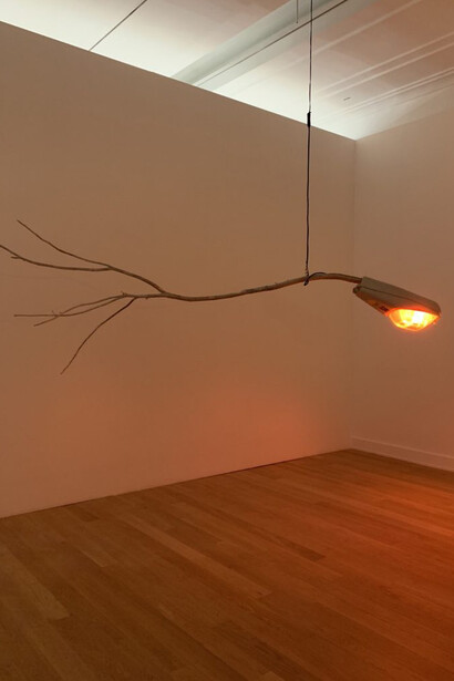 Lit. Courtesy of The Bass