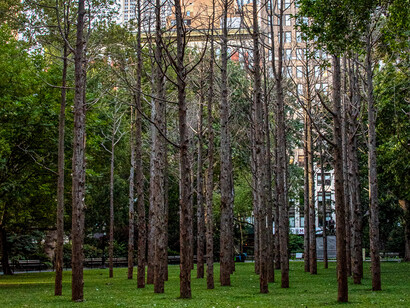The hope is that after experiencing the installation, people will change their lifestyle so that these ghost forests will not form (“Ghost Forest”, 2021)