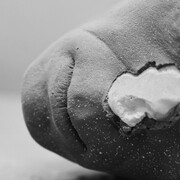 Immagini umane, artwork in exhibition (detail). Courtesy of Pallavicini22 Art Gallery