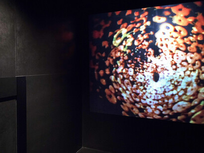 Toshio Matsumoto. Courtesy of Empty Gallery