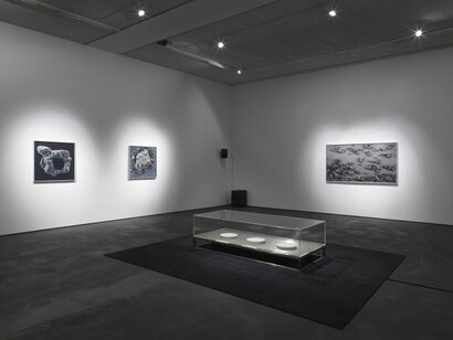Hybrid Matter. Courtesy of Gallery Dittrich & Schlechtriem